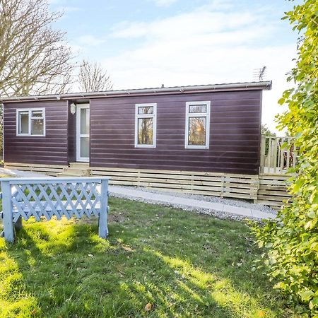 Caban Y Felin Villa Holyhead Exteriör bild